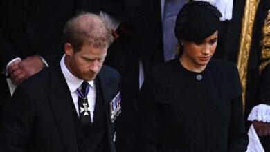 Meghan Markle Surprise Video Sparks Viral Reaction With Unexpected Marriage Advice