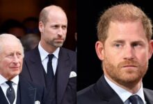 King Charles Reportedly Rejects Prince Harry Offer As Prince William Influence Shapes Palace Decision