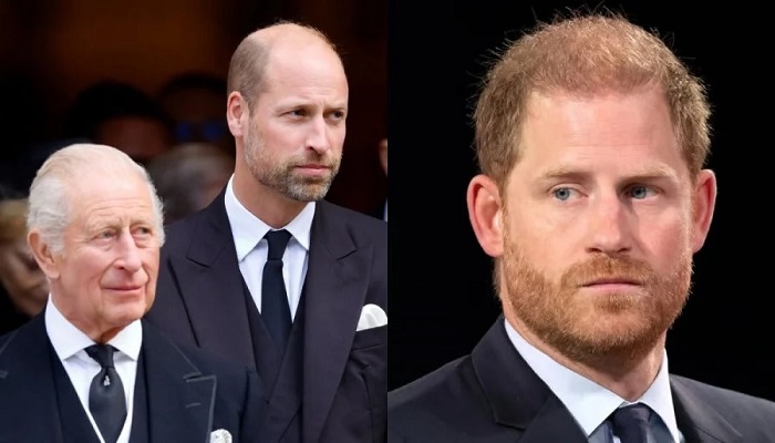 King Charles Reportedly Rejects Prince Harry Offer As Prince William Influence Shapes Palace Decision