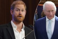 Prince Harry Left Stunned By Question On King Charles US Visit Amid Rising Tensions