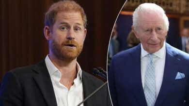 Prince Harry Left Stunned By Question On King Charles US Visit Amid Rising Tensions