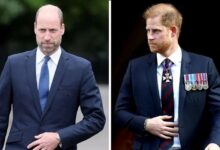 Prince William And Prince Harry Left Stunned As King Charles Visit Sparks Painful Decision