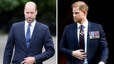 Prince William And Prince Harry Left Stunned As King Charles Visit Sparks Painful Decision