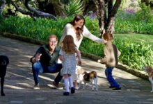 Prince Harry Fears For Archie And Lilibet As Princess Diana Shadow Sparks Deep Concern