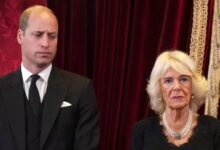 Prince William Concern Ignored As Queen Camilla Pushes King Charles Forward With Major Move