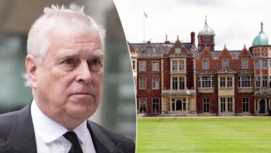 Andrew Hit With New Restrictions As Sandringham Display Sends Subtle Royal Signal