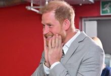 Prince Harry Reunion Hopes Rise As Palace Weighs Invite Amid Prince William Tension