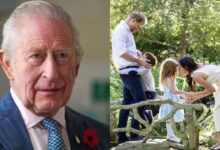 Archie and Lilibet UK Return In Doubt As Prince Harry's Shocking Security Concerns Stall Royal Reunion