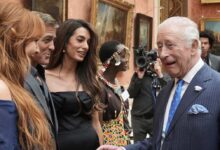 King Charles Different Side Revealed After Prince Harry Message Controversy