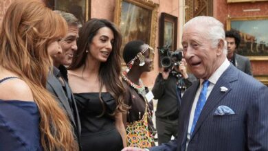 King Charles Different Side Revealed After Prince Harry Message Controversy