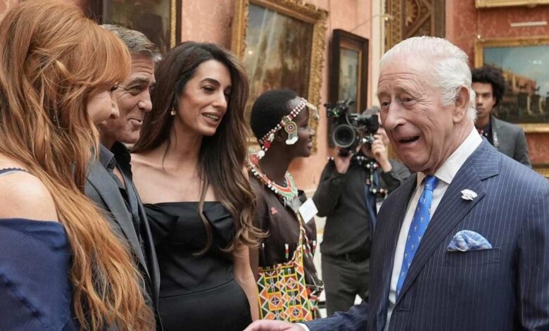 King Charles Different Side Revealed After Prince Harry Message Controversy