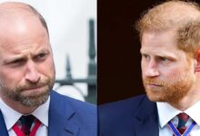 Prince William and Prince Harry Reunite In Emotional Tribute To Princess Diana