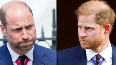 Prince William and Prince Harry Reunite In Emotional Tribute To Princess Diana