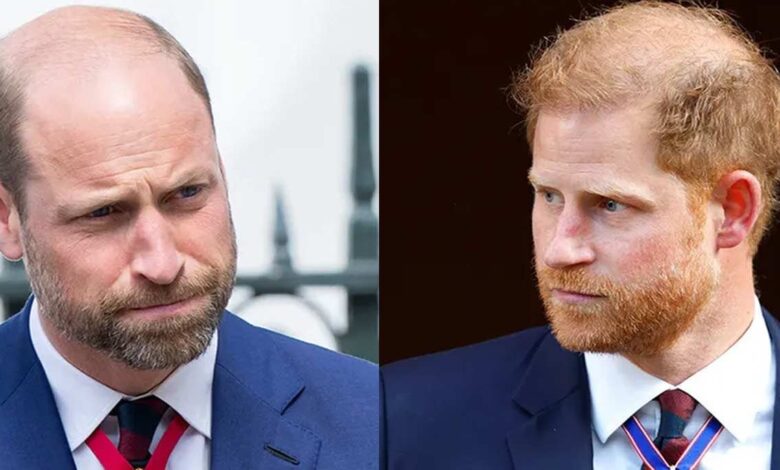 Prince William and Prince Harry Reunite In Emotional Tribute To Princess Diana