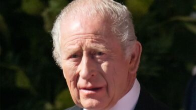 King Charles US Trip Sparks Divide As Britain Split Over Historic Visit