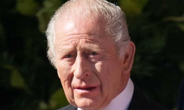 King Charles US Trip Sparks Divide As Britain Split Over Historic Visit