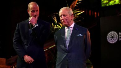 King Charles and Prince William Unite To Tackle Andrew Issue Amid Power Shift Speculation