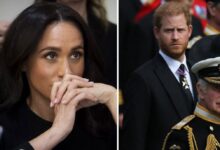 Meghan Markle’s UK Plans Risk Derailing Prince Harry and King Charles Peace Talks