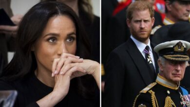 Meghan Markle’s UK Plans Risk Derailing Prince Harry and King Charles Peace Talks