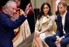 King Charles Shifts Focus After Prince Harry and Meghan Markle Olive Branch Sparks Hope