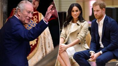 King Charles Shifts Focus After Prince Harry and Meghan Markle Olive Branch Sparks Hope