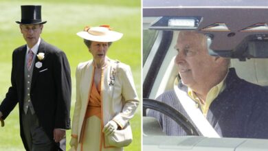 Princess Anne and Prince Edward Quietly Support Andrew Amid Ongoing Royal Struggles