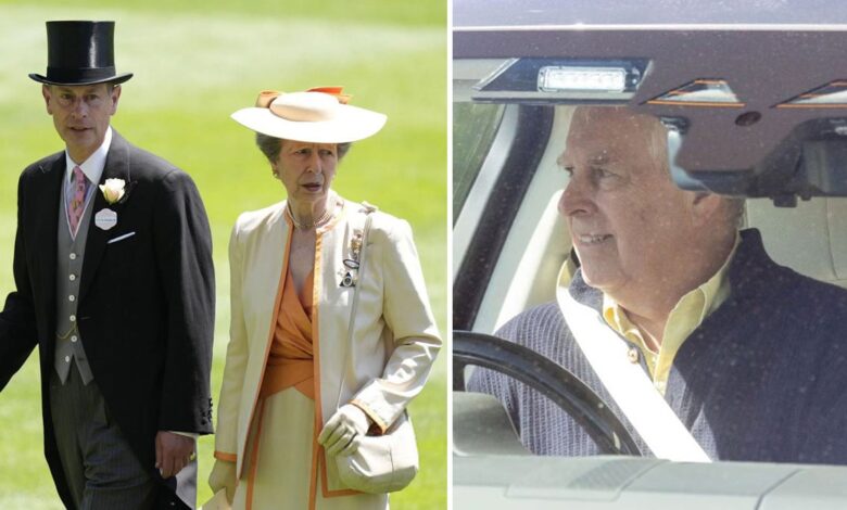 Princess Anne and Prince Edward Quietly Support Andrew Amid Ongoing Royal Struggles