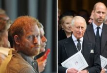 Prince Harry’s Emotional Message to King Revealed After William’s Cold Shoulder