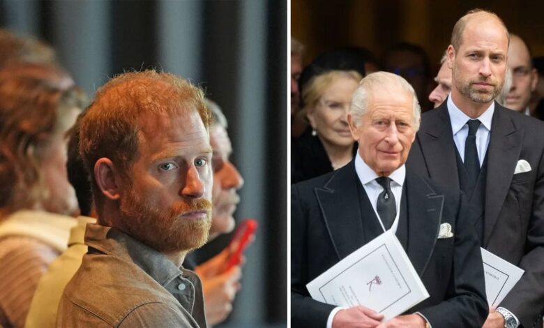 Prince Harry’s Emotional Message to King Revealed After William’s Cold Shoulder