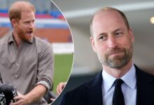 Prince William Receives Surprise Nod From Prince Harry In Surprise Moment
