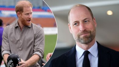 Prince William Receives Surprise Nod From Prince Harry In Surprise Moment