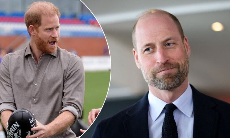 Prince William Receives Surprise Nod From Prince Harry In Surprise Moment