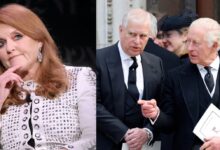 Sarah Ferguson Powerful Story Plans Ring Alarm Bells For King Charles Amid Royal Concerns