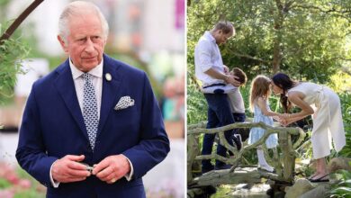 King Charles Issues Statement As Meghan Markle Uses Archie And Lilibet Titles For New Move