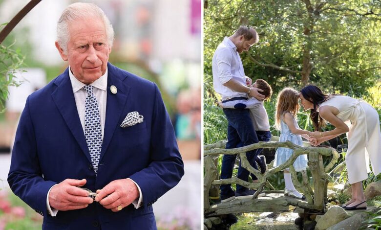 King Charles Issues Statement As Meghan Markle Uses Archie And Lilibet Titles For New Move