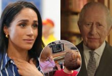 Meghan Markle Shares Archie And Lilibet Update As King Charles Releases Emotional Message