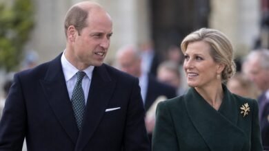 Prince William Makes Emotional Appeal To Duchess Sophie As Future Royal Plans Take Shape