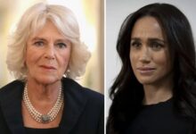 Queen Camilla New York Event Video Sparks Alarm Bells for Meghan Markle