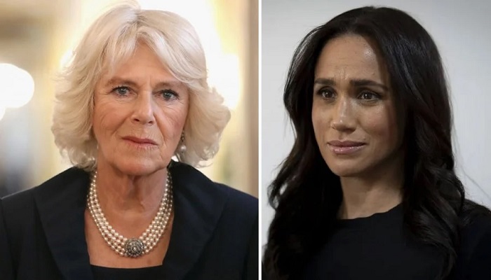 Queen Camilla New York Event Video Sparks Alarm Bells for Meghan Markle