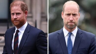 Prince Harry Shifts Strategy And Demands Apology As Prince William Refuses To End Royal Rift