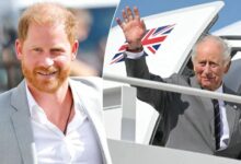 Prince Harry’s Real Feelings Revealed As King Charles Misses Chance To Meet Montecito Family