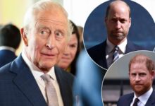 King Charles Reportedly Working Behind The Scenes To End Prince Harry And Prince William Feud