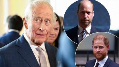 King Charles Reportedly Working Behind The Scenes To End Prince Harry And Prince William Feud