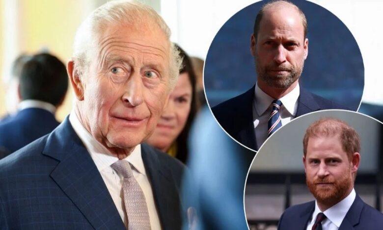 King Charles Reportedly Working Behind The Scenes To End Prince Harry And Prince William Feud