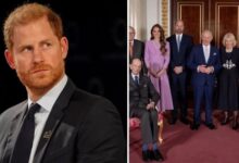 Prince Harry Faces Fresh Royal Fallout After Kate Middleton Support Blow