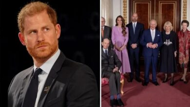 Prince Harry Faces Fresh Royal Fallout After Kate Middleton Support Blow