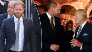 King Charles And Prince William Fear Major Risk In Reaching Out To Prince Harry