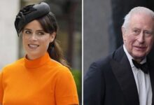 Princess Eugenie Wins Back Public Support After Major King Charles Approval