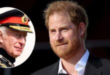 Prince Harry Hints At Exciting New Era As King Charles Quietly Shows Support
