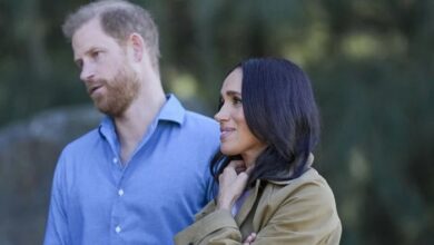 Meghan Markle Pushes Ahead With Exciting New Project Despite Prince Harry Concerns